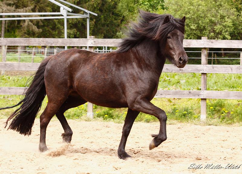 _MG_2354 a.jpg - Njola macht ihre Sache schon richtig prima.